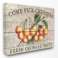 A Stupell Lakberendezési Gyűjtemény Cherries Orchard Wall Art