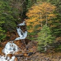 Fawn Creek ősszel esik a Flathead Nemzeti Erdőben-Montana-USA Chuck Haney