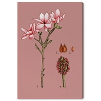 Wynwood Studio Canvas rózsaszín virág gyümölcs virág- és botanikus virágos fal art vászon nyomtatás rózsaszín 24x36
