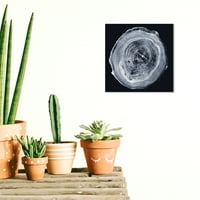 Wynwood Studio virág- és botanikus modern vászon művészet - Fekete -fehér Legno röntgen, fali művészet nappali, hálószoba