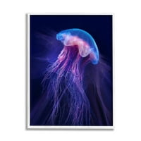 Stupell Industries élénk lila medúza úszó óceáni tengeri élet keretes fali művészet, 14, tervezés, Steve Hunziker