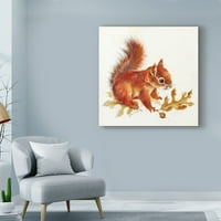 Védjegy képzőművészet' vörös mókus központú ' vászon művészet Peggy Harris