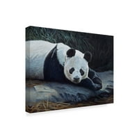 Védjegy Szépművészet 'Panda' vászon művészete, Rusty Frentner
