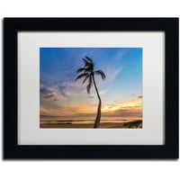 Védjegy Képzőművészet 'Sunset Palm Tree' vászon művészete: Pierre Leclerc, White Matte, fekete keret