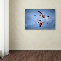 Védjegy Képzőművészet „Nagyobb Flamingos” vászonművészet, Xavier Ortega