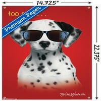 Keith Kimberlin-dalmát kiskutya - túl hűvös fali poszter Push csapokkal, 14.725 22.375